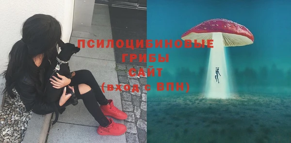 СК Армянск