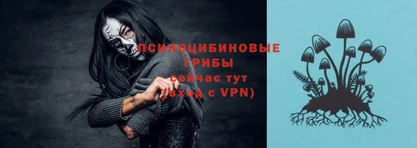 герыч Осинники