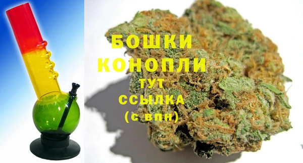 apvp Аркадак