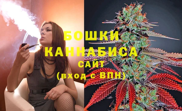 apvp Аркадак