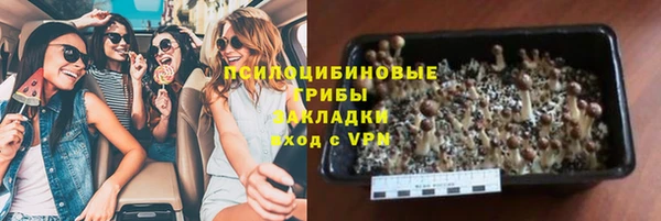ГАЛЛЮЦИНОГЕННЫЕ ГРИБЫ Арсеньев