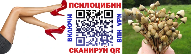 Псилоцибиновые грибы прущие грибы Цивильск